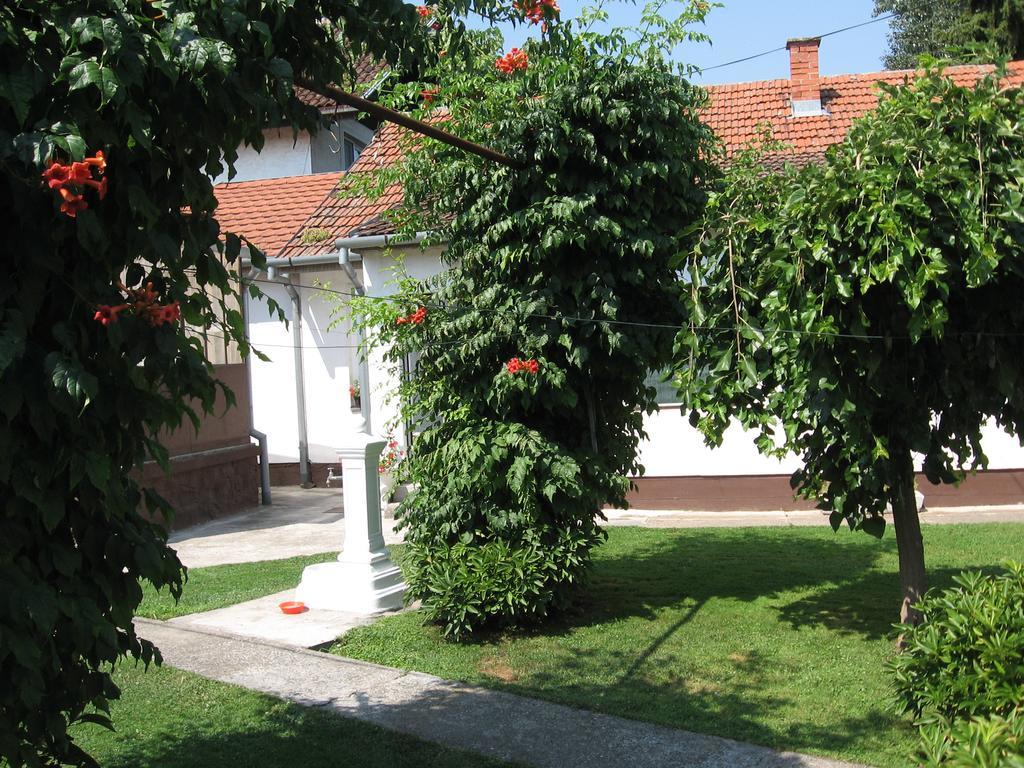 Green Apartment Novi Sad Exteriér fotografie