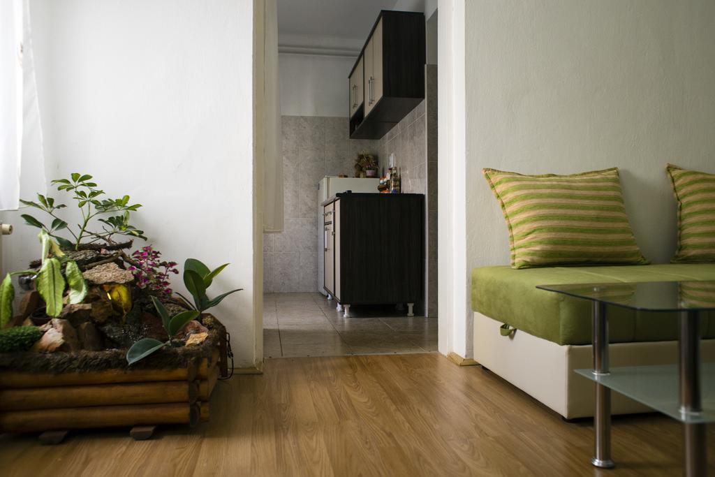 Green Apartment Novi Sad Exteriér fotografie